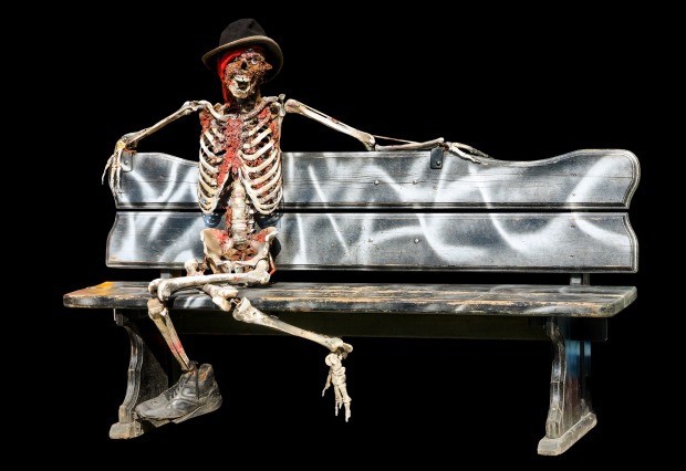 skeleton-973115_1920